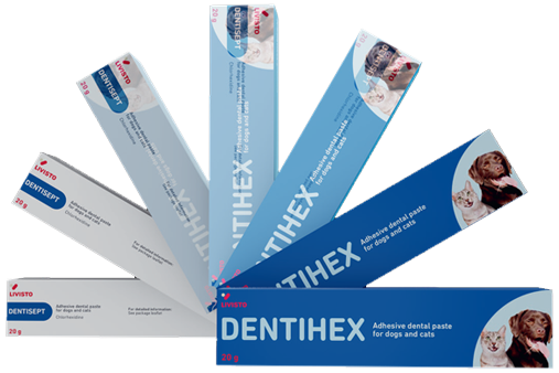 Dentihex - Dentisept
