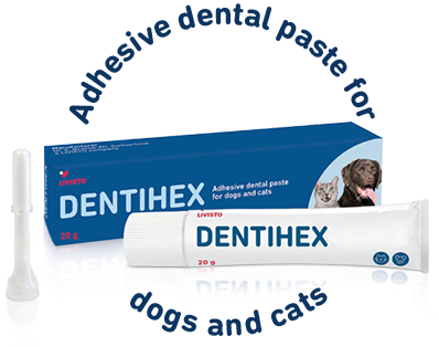 Dentihex - Adhesive dental paste for dogs and cats