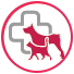 Dentihex - What can you do