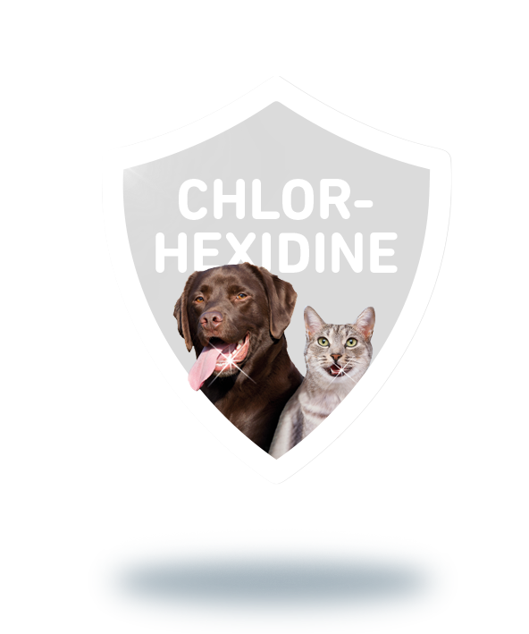 Dentihex - chlorhexidine